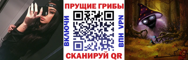 дарк нет телеграм  где купить наркоту  Дрезна  Галлюциногенные грибы Cubensis 