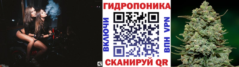 Конопля сатива  хочу   Дрезна 